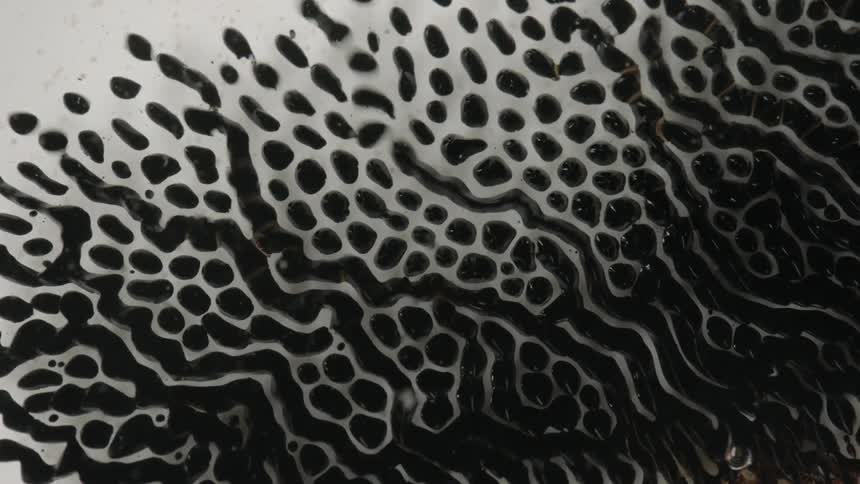 Long droplets of dark liquid glide across a smooth white surface seemingly on their own