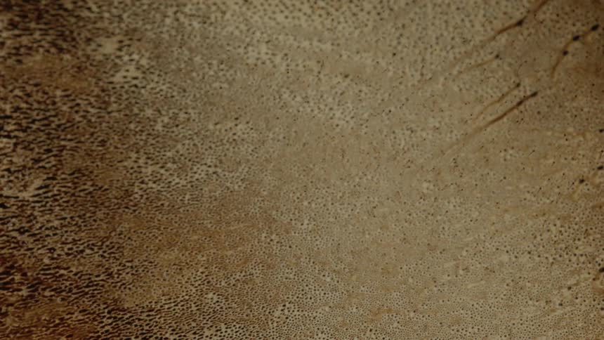 Liquid running across a surface and creating patterns