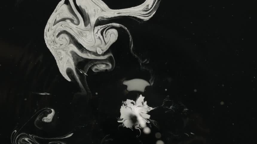 A drop of white paint splashes onto a dark liquid surface