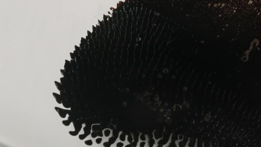 Black liquid mixes with white liquid