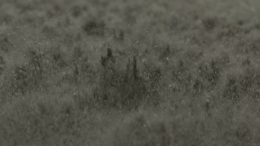 Particles bounce on a surface