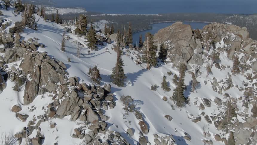 A skier skillfully weaves their way through trees and countless rocks on a snow covered mountain side
