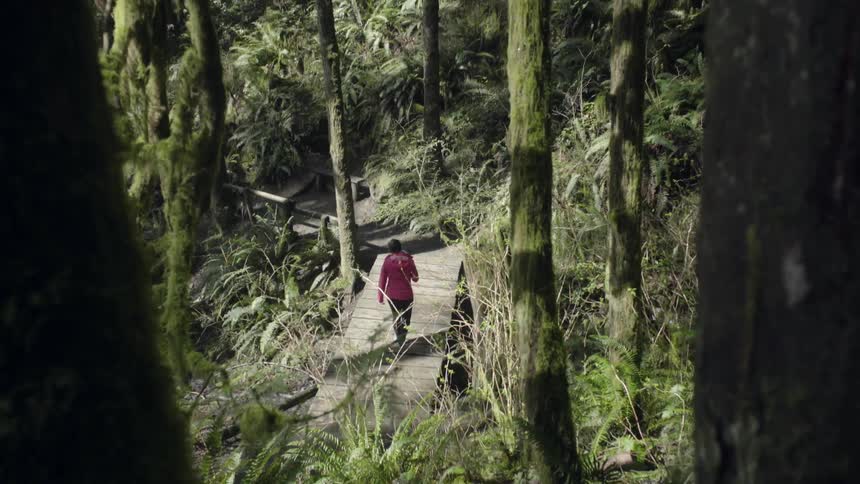 A woman is hiking in the wilderness on a sunny day