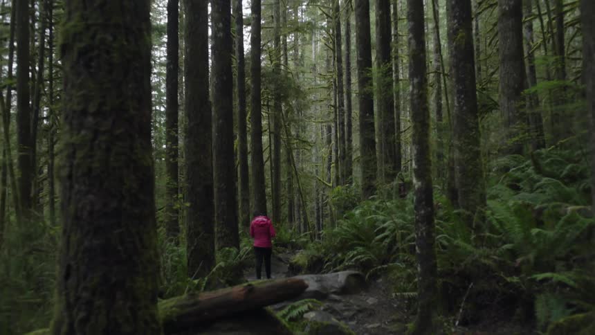 A woman walks alone in the woods