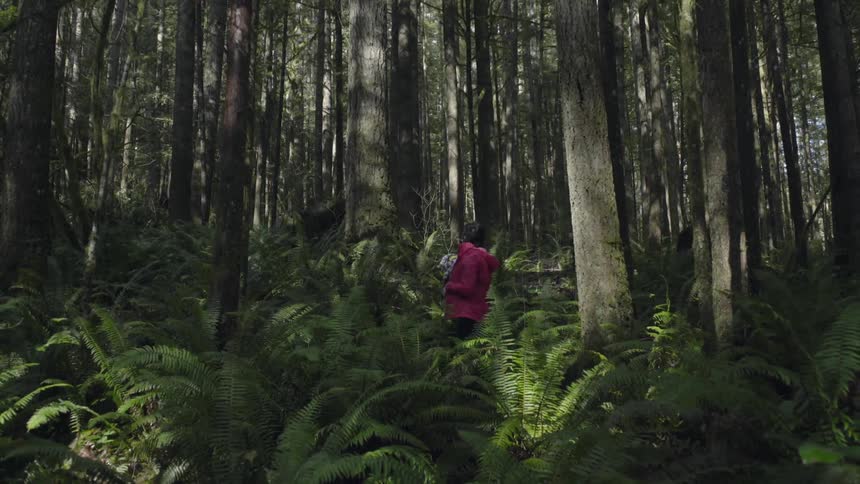 A young woman holding a baby stands amongst the fern ground cover of a forest
