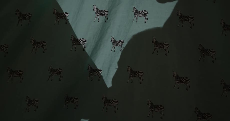 Shadow of a mom and baby playing on a zebra print sheet