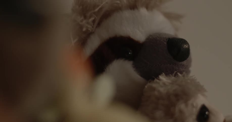 Close up of some stuffed animals