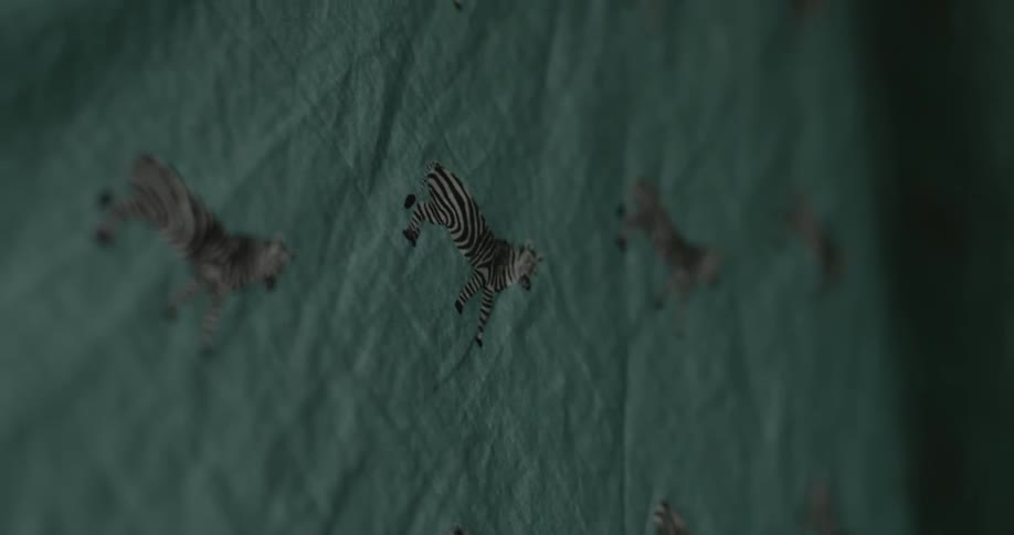 Zebras printed on a piece of cloth