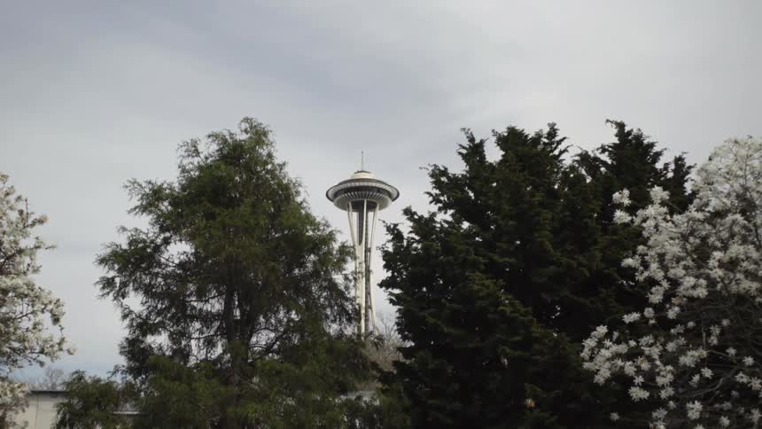 A tower stands behind trees