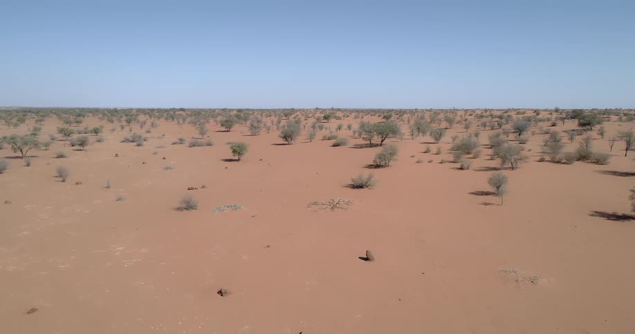 A aerial flyover of an arid dirt plain shows that it contains many trees but no signs of animals or people