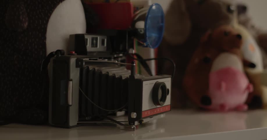 A camera sits on a shelf next to a stuffed animal