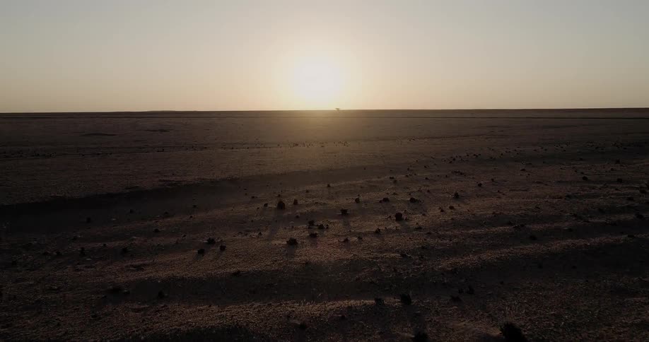 Moving over a sandy landscape dotted with brush at sunrise