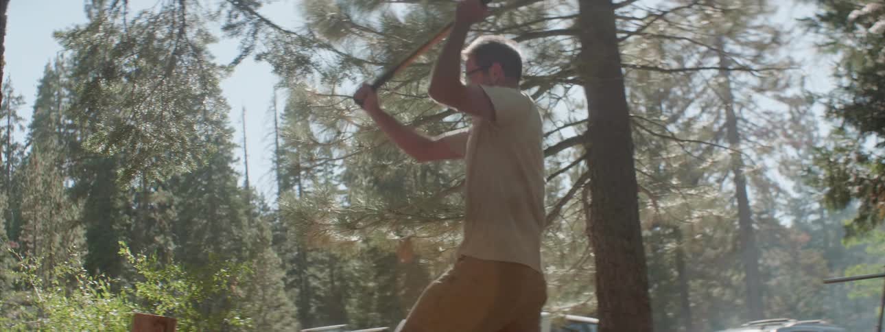 A man is using a hammer to cut a tree