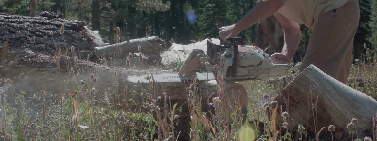 A man uses a chainsaw on a tree