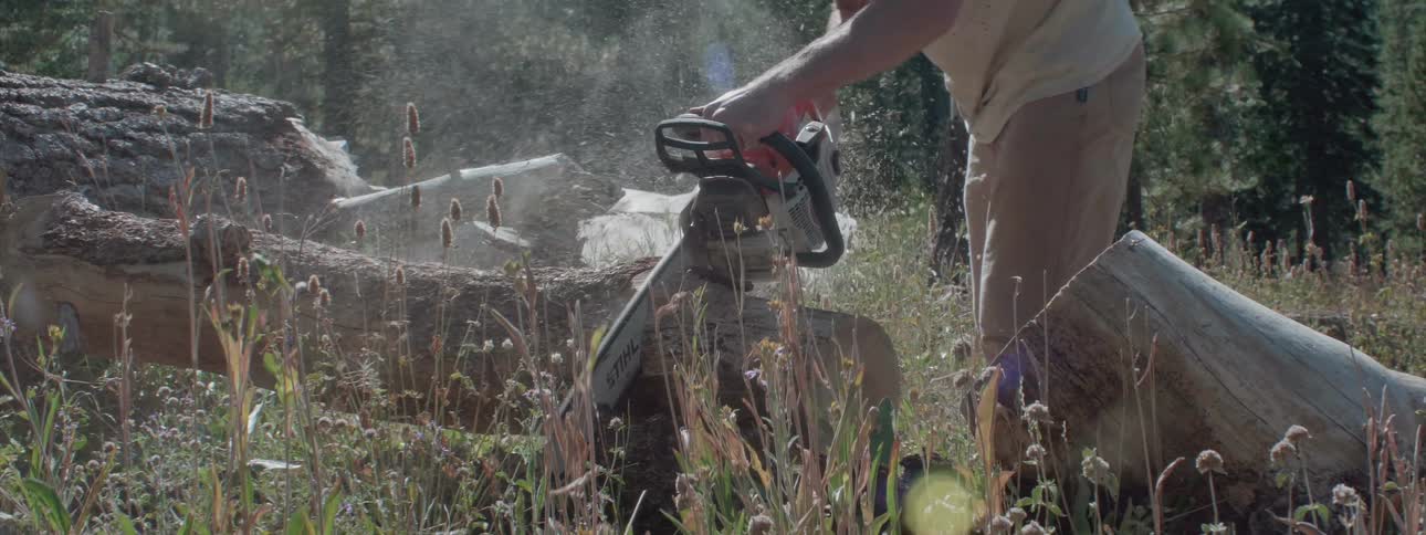 A man uses a chainsaw to cut a section of fallen tree in the grass