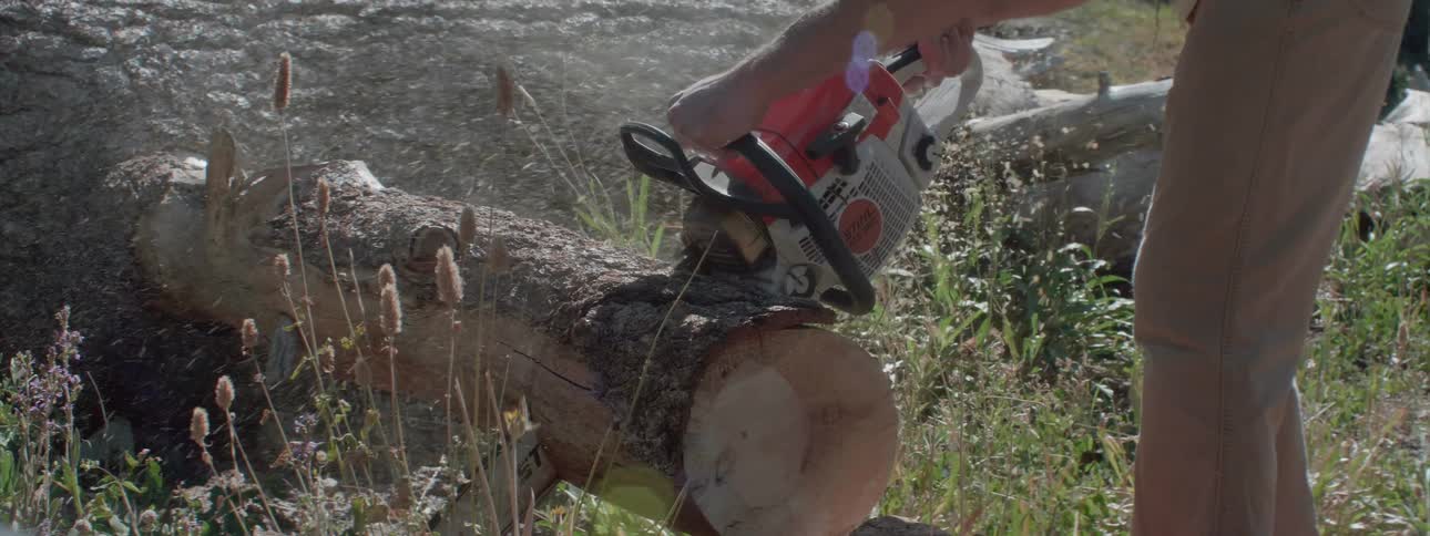 A man uses a chainsaw to cut through a large tree log