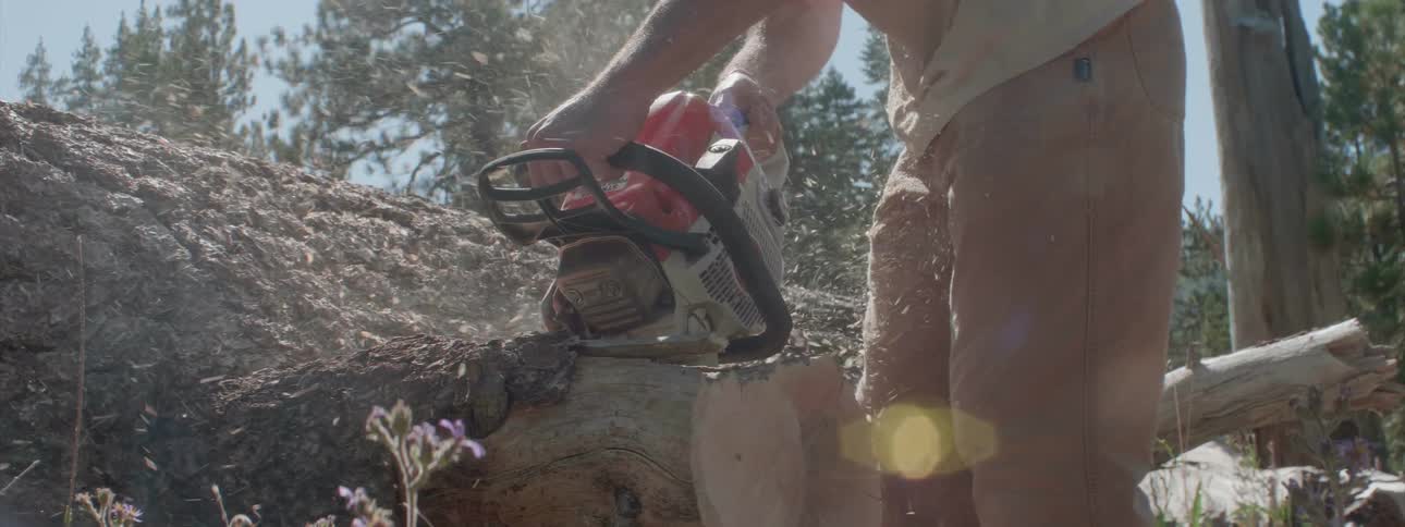 A man uses a chainsaw to cut off part of a felled tree