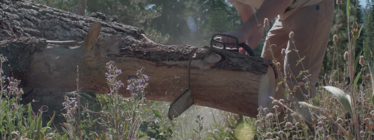 Man cuts wood with a chainsaw in the forest