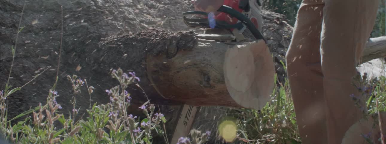 A man saws a tree trunk