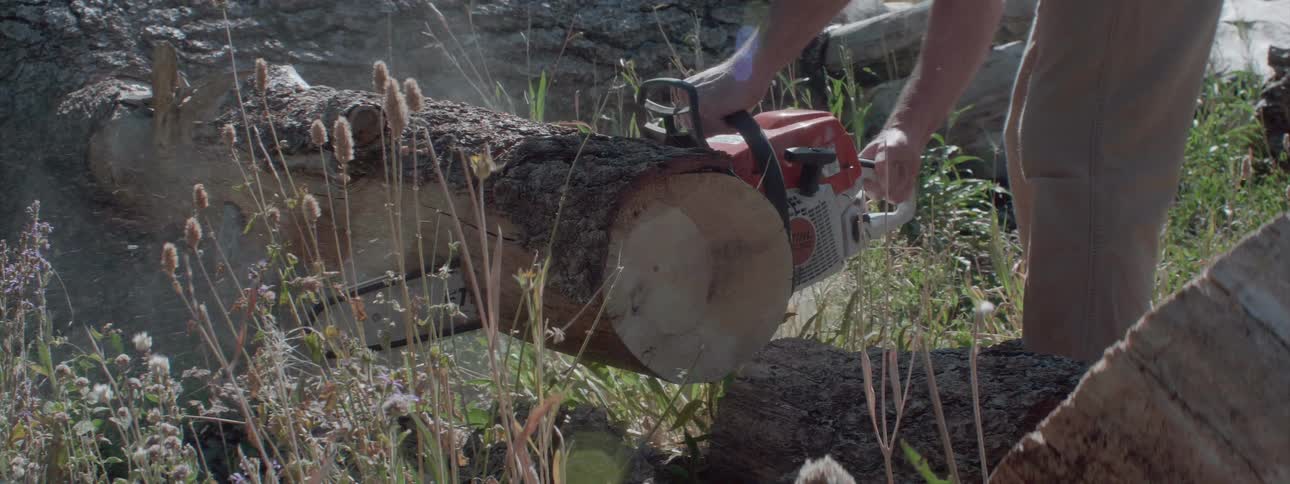 A man cuts through a large log with a chain saw