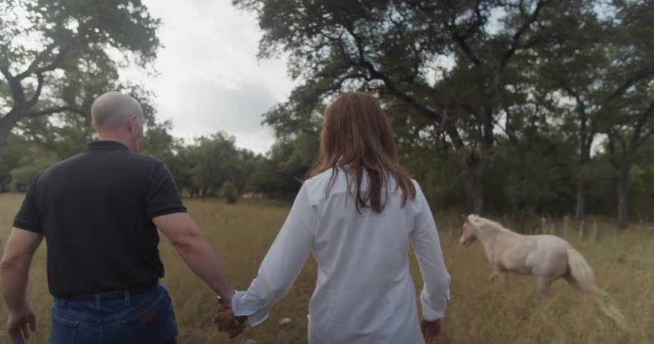 A man and a woman walk through a field while holding hands as a white horse runs by them