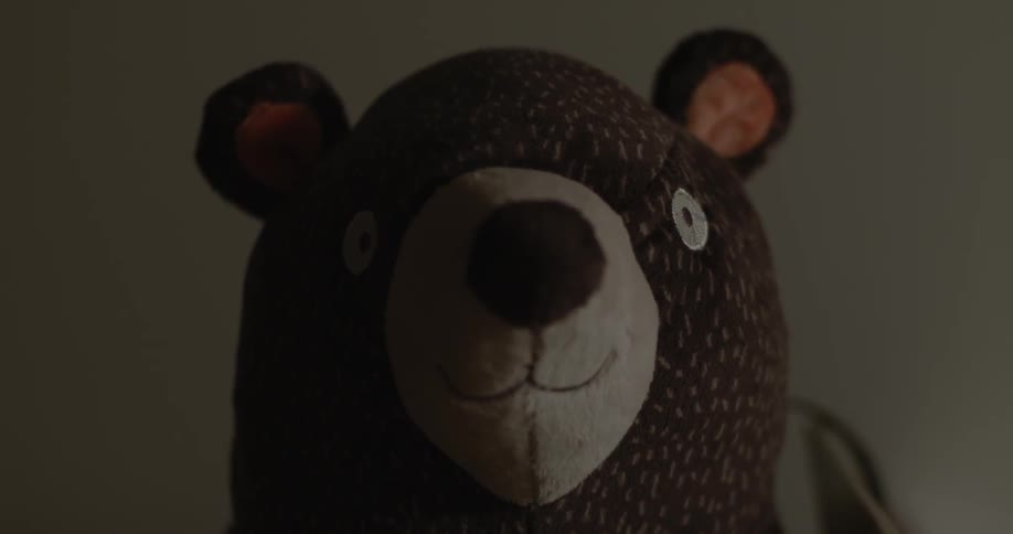 A brown stuffed bear sits facing the camera