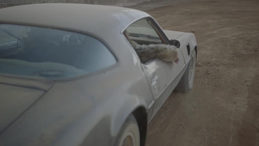 A woman in a fur coat playfully holds her arm out the window of a dirt coated classic sports car