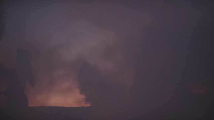 Several people are waving smoke bombs around on a dusky evening
