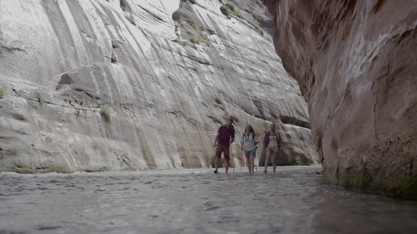 A group of people hiking