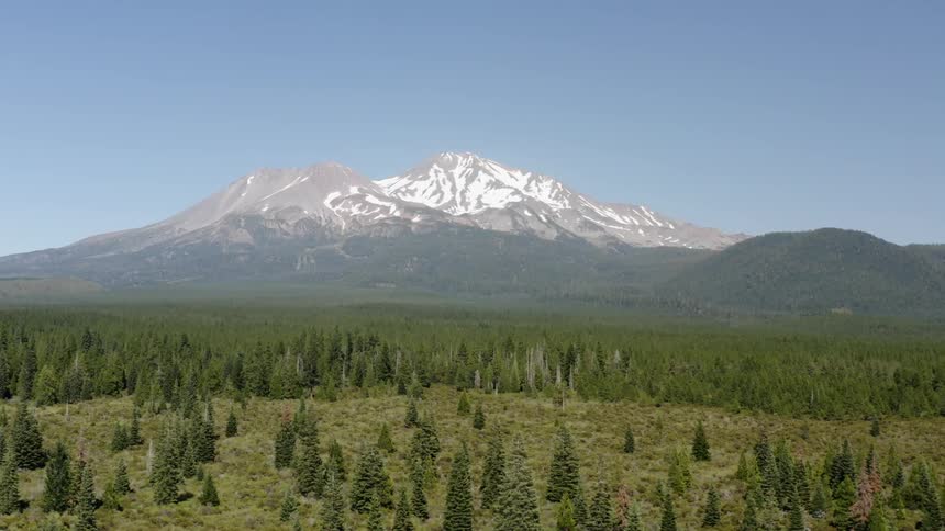 An aerial view of pine trees and a snowy mountain peak