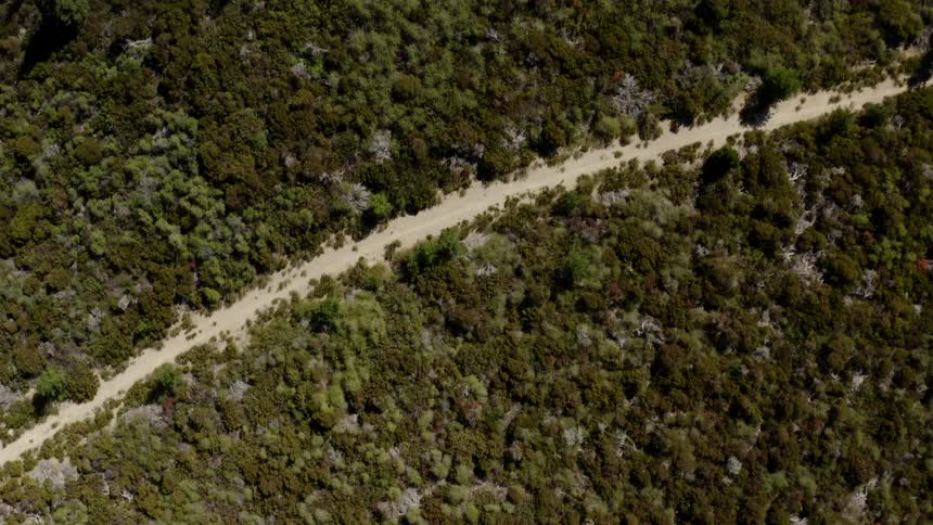 Aerial view of plains covered in bushes crossed by dirt roads