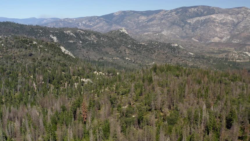 Landscape view of a forest and mountains