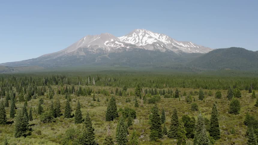 An aerial view of a snowy mountain landscape with pine trees