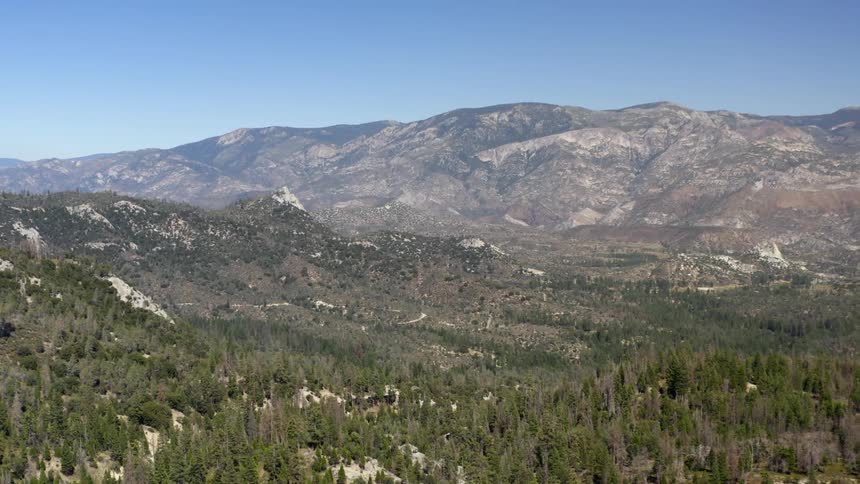 A forested valley sits in front of a large mountain range