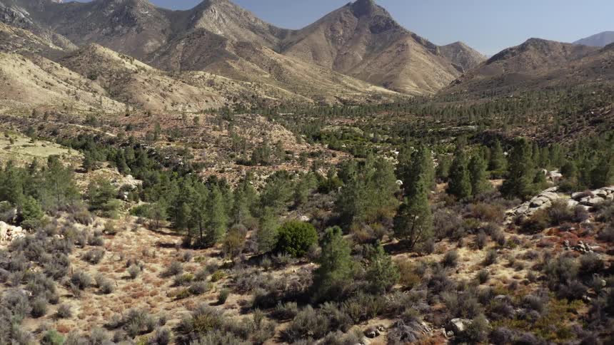 Landscape view of trees a valley and mountains