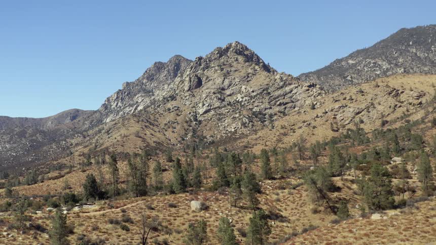 Landscape view of trees at the base of a mountain