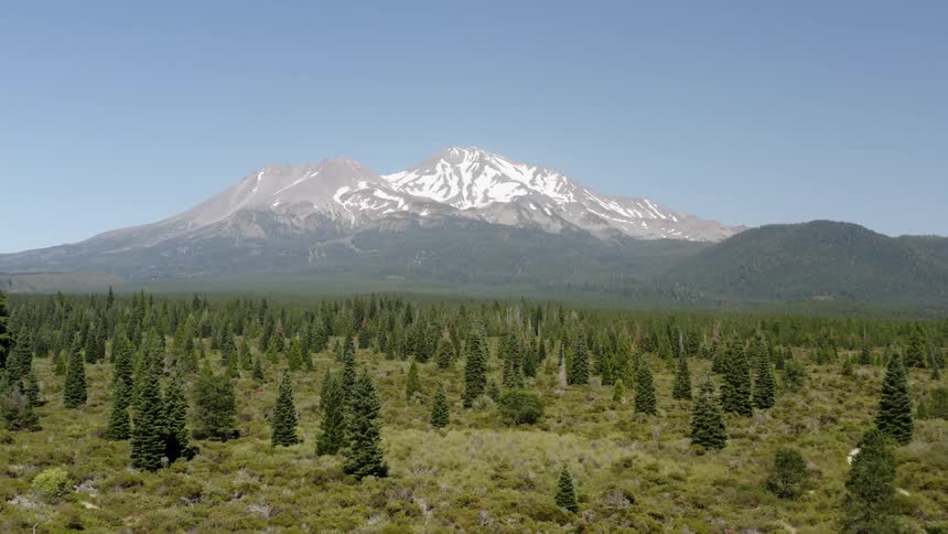 Aerial shot of a forest in front of a mountain