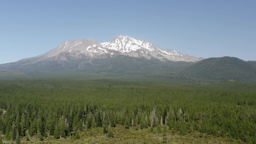 A forest sits in front of the mountains