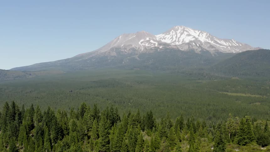 An evergreen forest covers the hills at the foot of a snowcapped mountain