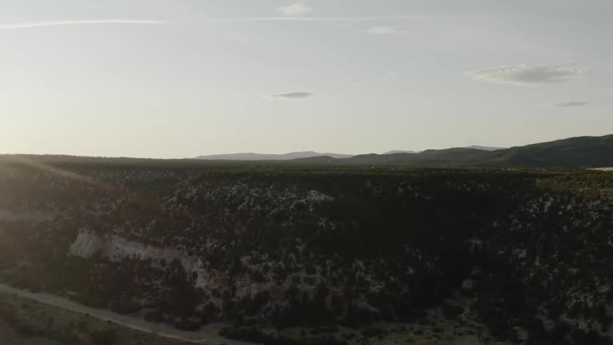 Shot of a grassy field at dawn
