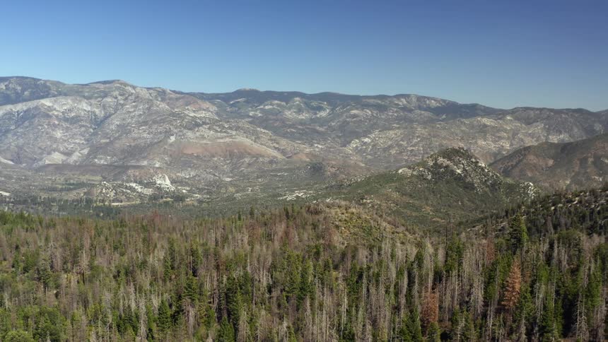 A large mountain range surrounded by forest