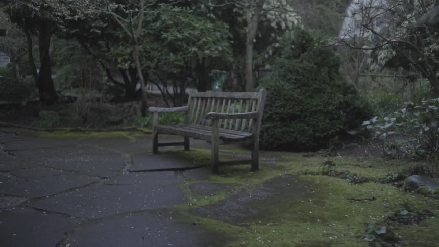 A bench in a park