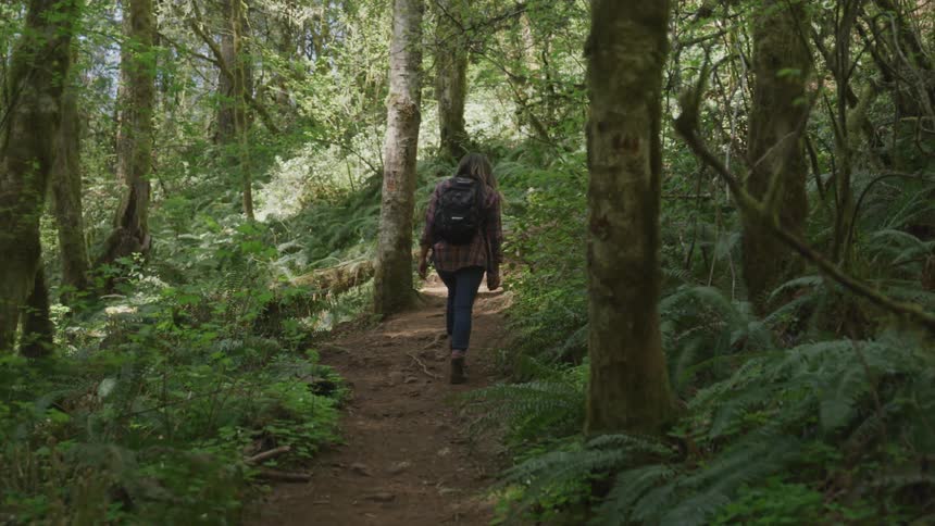 Woman wearing backpack walks on the forest path in the woods