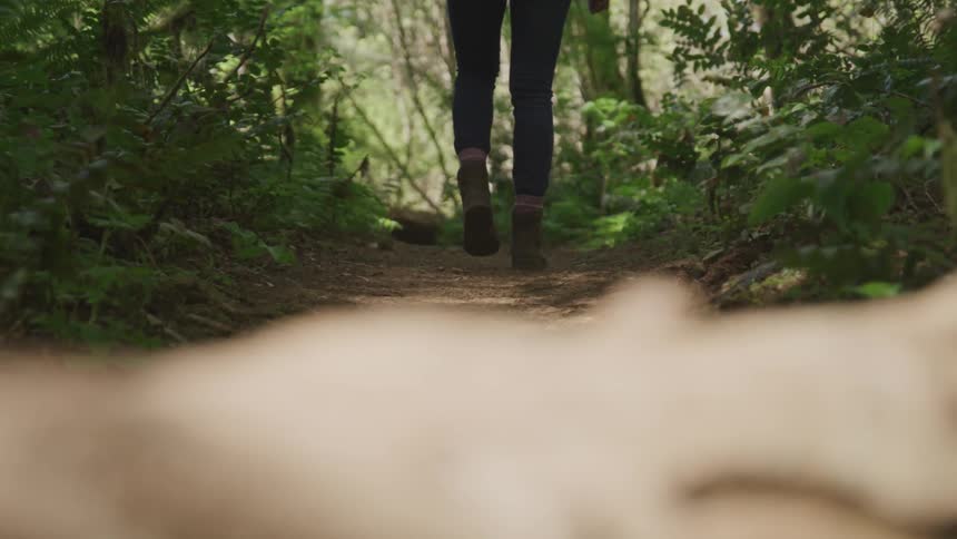 A woman walks down a dirt path in the woods