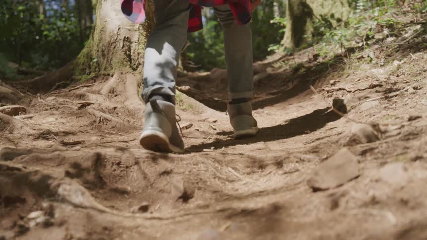 A person hikes up a steep dirt path in the forest