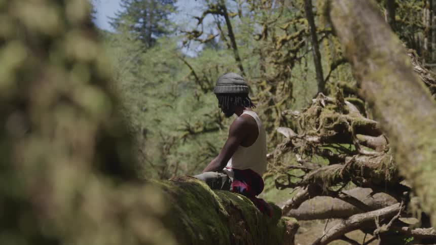 Black man with dreadlock hair sits on the tree trunk in the forest