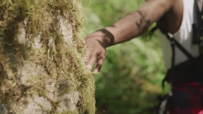 Man touches moss covered rock while walking through woods