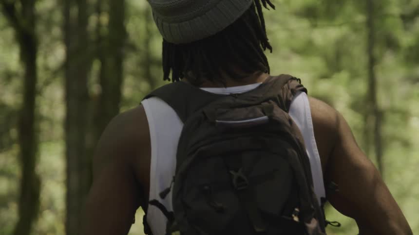 A man looks up at the trees as he walks through the woods on a sunny day