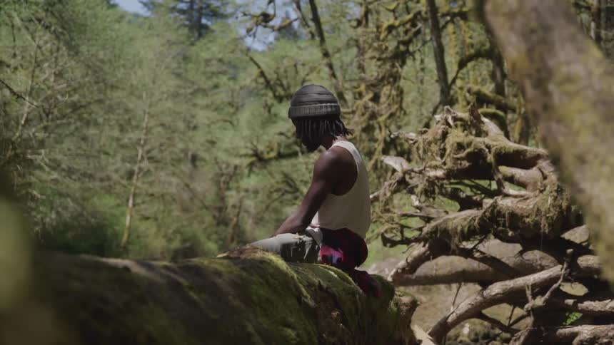 A man sitting on the thick branch of a tree in a forest