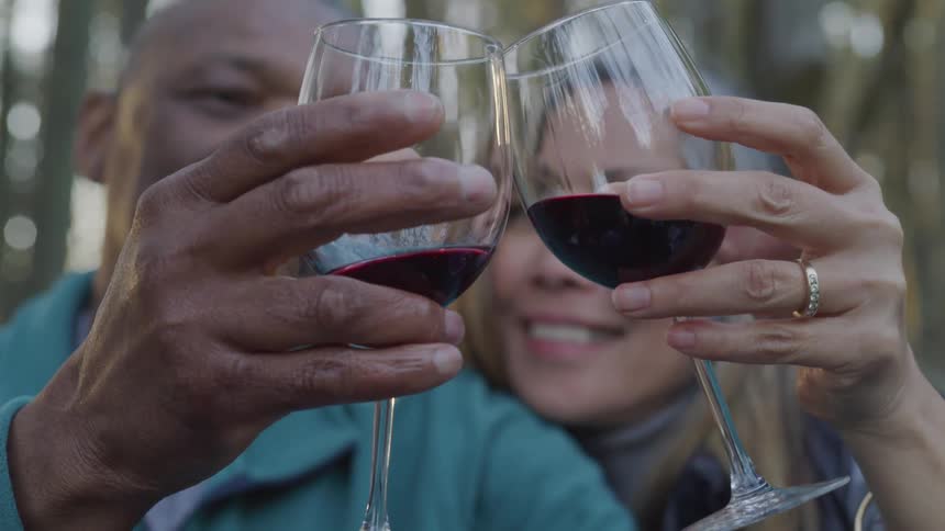 Man and woman make a toast with their wine glasses